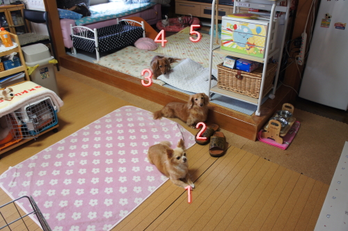 image.jpg