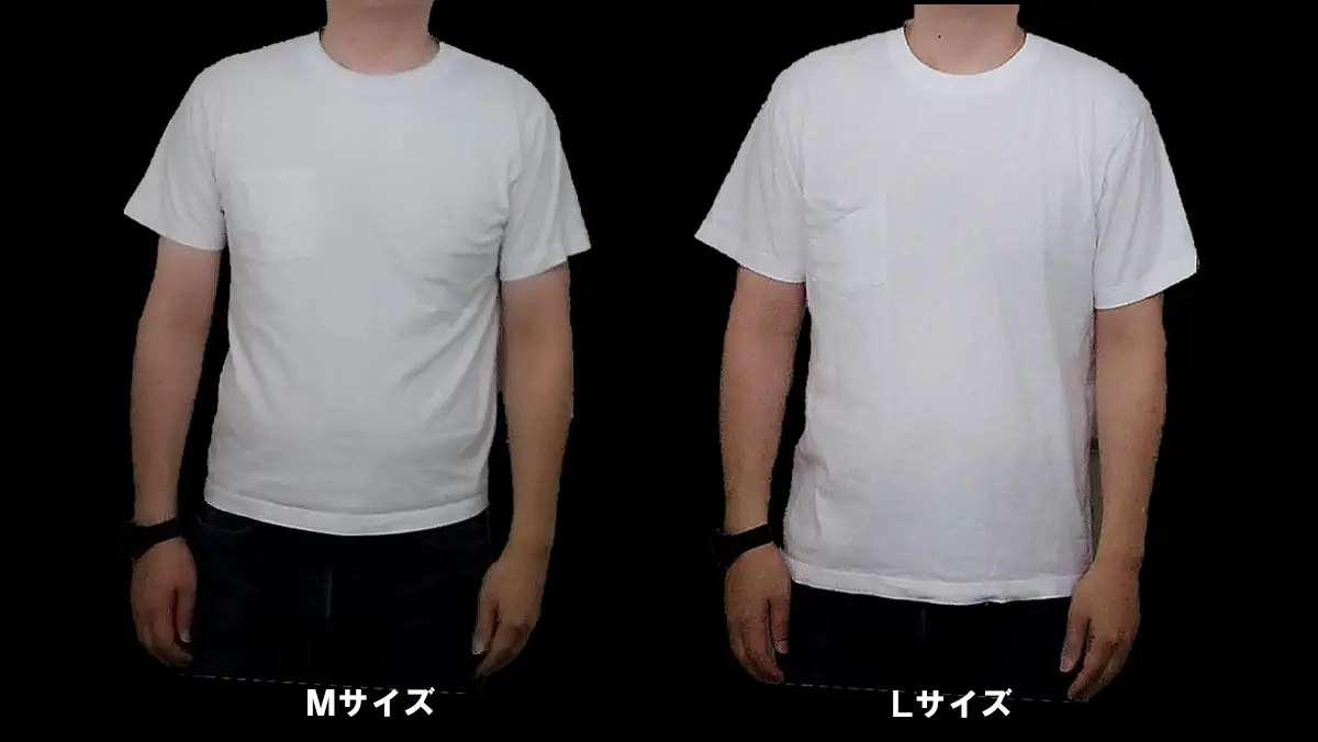 白Tシャツ_2枚比較_ビーフィーML比較